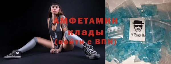 шишки Аркадак