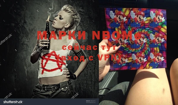 шишки Аркадак