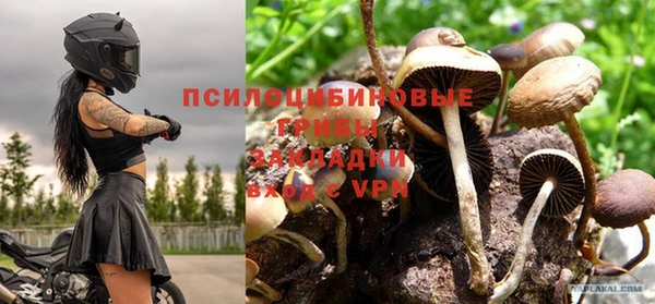 дурь Фурманов