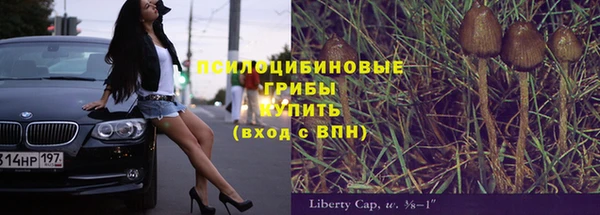 шишки Аркадак