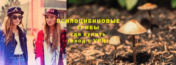 шишки Аркадак